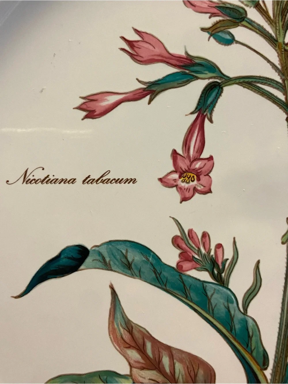Villeroy & Boch Botanica Nicotiana Tabacum 12.5” Chop Plate Platter Porcelain  E